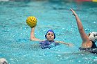 WWPolo vs CC  Wheaton College Women’s Water Polo compete in their sports inaugural match vs Connecticut College. - Photo By: KEITH NORDSTROM : Wheaton, water polo, inaugural